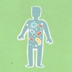 Ilustracja człowieka z bakteriami w ciele na zielonym tle