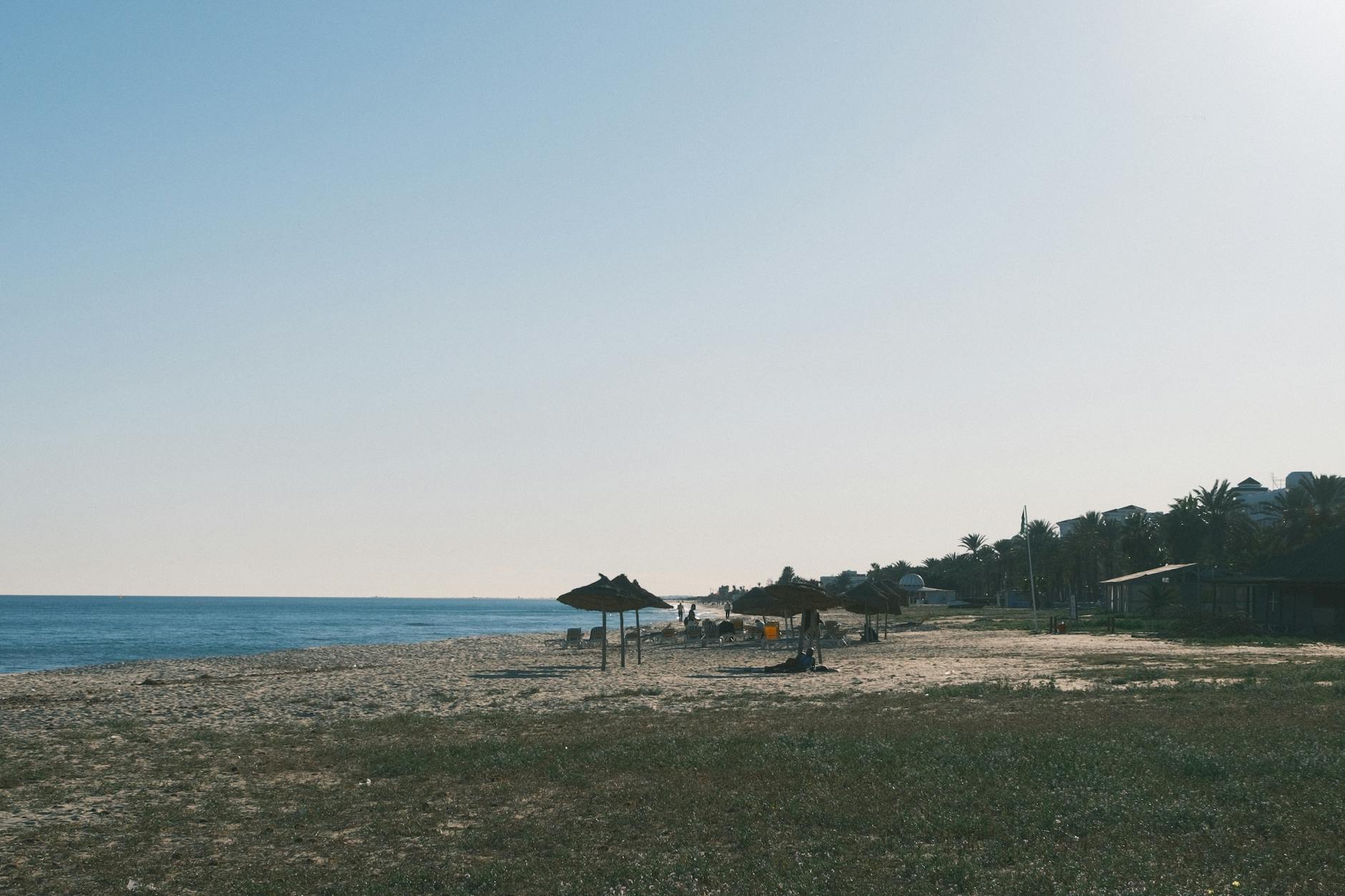 Tunezyjska plaża o zachodzie słońca z palmowymi parasolami